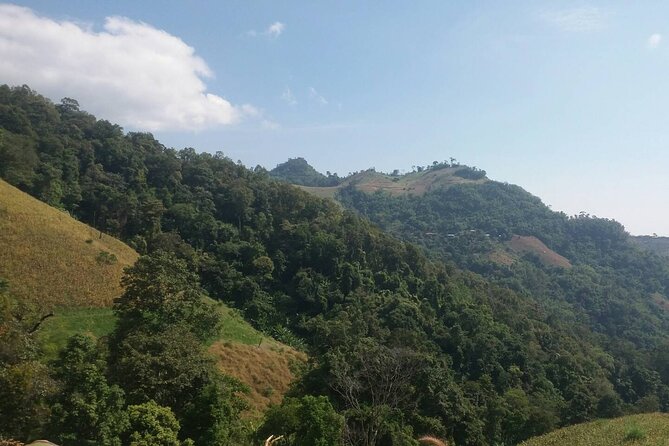 2-Day Chiang Dao and Mae Taeng Valley Active Tour, From Chiang Mai - Day 1: Hike Through the Thai Jungle