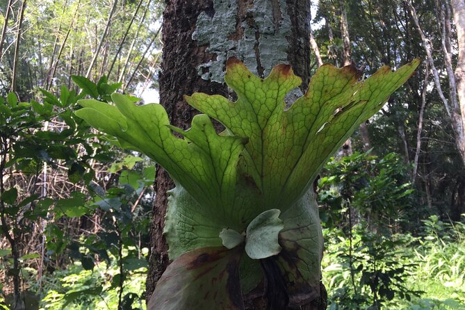 2-Day Chiang Dao and Mae Taeng Valley Active Tour, From Chiang Mai - Day 2: Explore the Mae Taeng Valley