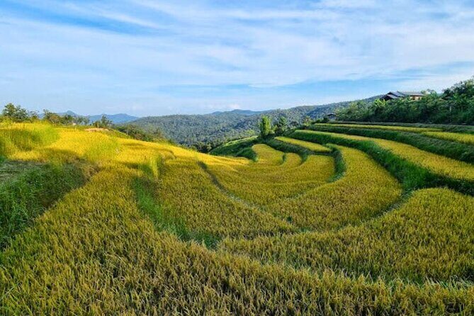 2 Day Chiang Mai Jungle Trek with Hill Tribes and Bamboo Rafting - The Sum Up