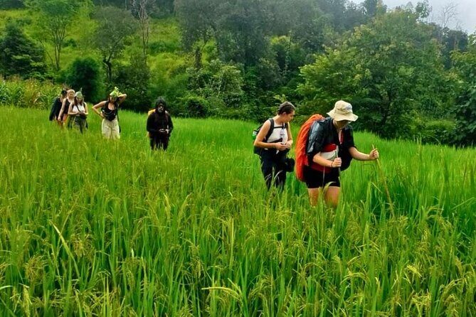 2 Day Chiang Mai Jungle Trek with Hill Tribes and Bamboo Rafting - Final Thoughts