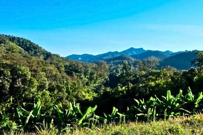 2 Day Chiang Mai Jungle Trek with Hill Tribes and Bamboo Rafting - The Sum Up