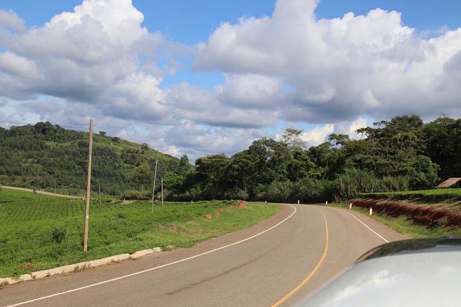 2 Day Chimpanzee Trek at Kibale National Park - Chimpanzee Trekking Experience