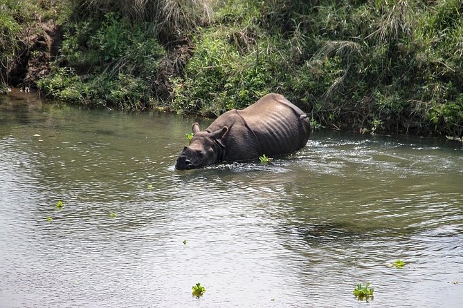 2 Day Chitwan National Park Tour From Kathmandu - Booking and Contact Information