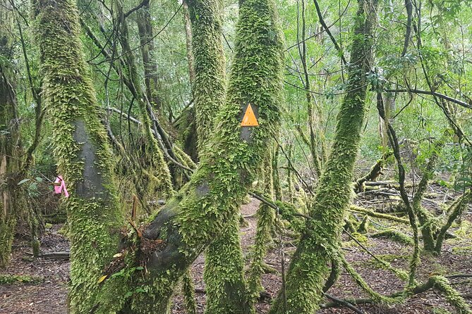 2 Day Cradle Mountain Tour - The Sum Up