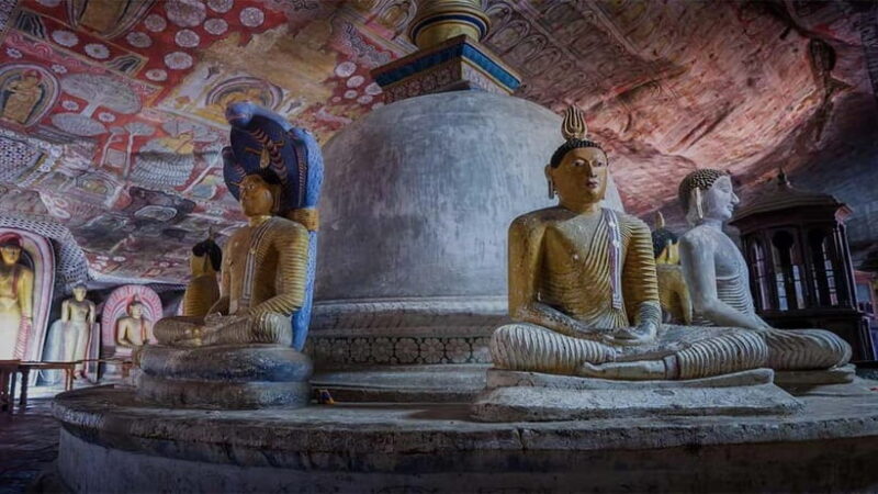 2-Day Cultural & Wildlife Tour to Sigiriya & Minneriya - Good To Know