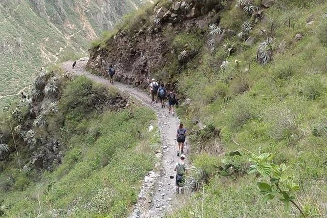 2-Day Custom Colca Canyon Trek From Arequipa - Directions