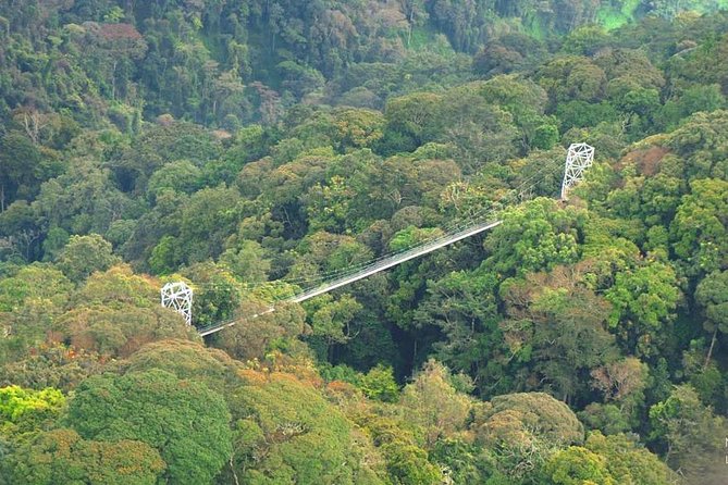 2-Day Custom Itinerary in Nyungwe National Park (Chimpanzee Tracking) - Meeting Point Information