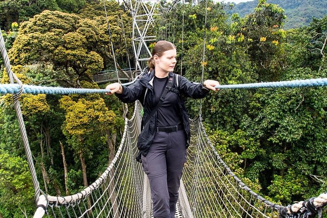 2-Day Custom Itinerary in Nyungwe National Park (Chimpanzee Tracking) - Directions to Nyungwe National Park