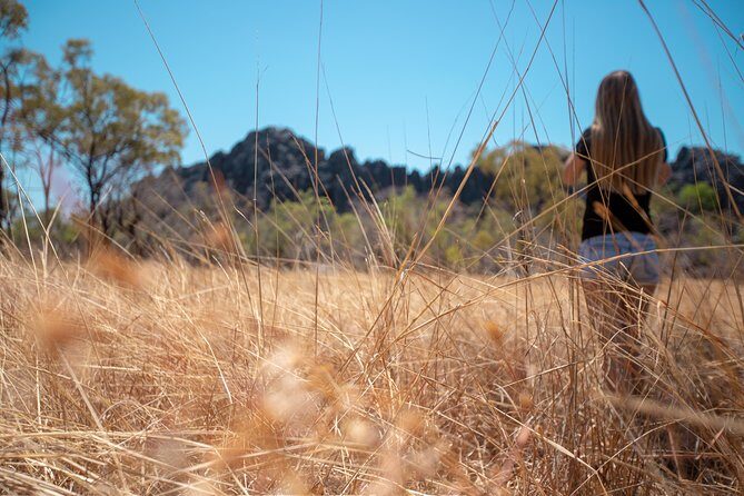 2 Day Daintree Rainforest and Chillagoe Outback Tour - An In-Depth Look at the Itinerary