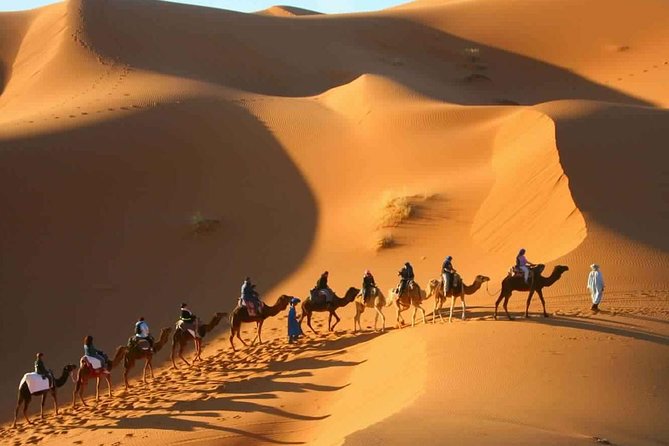 2 Day Desert Tour From Marrakech Through the Atlas Mountains & Camel Ride - Booking Process