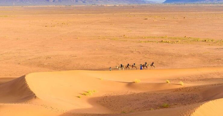 2-Day Desert Tour From Marrakech to Zagora Desert - Tour Duration and Booking Details