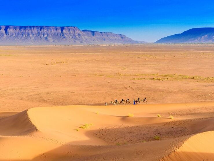 2-Day Desert Tour From Marrakech to Zagora Desert - Experience Highlights and Inclusions