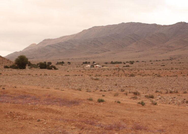 2-Day Desert Trip to El Borj - Booking and Flexibility