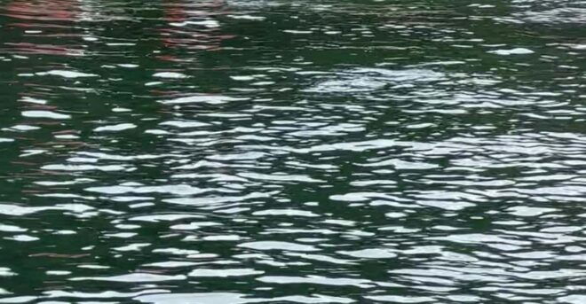 2 Day Discover Tobermory: Kayaking and Camping Adventure - Included in the Price
