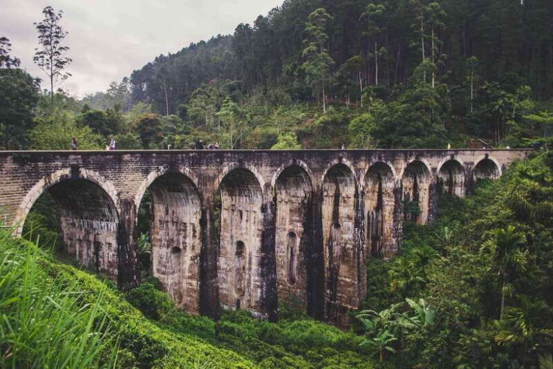 2-Day Ella and Yala Safari: Tour Tour from Colombo - Day Two: From Ella to the Wilds of Yala