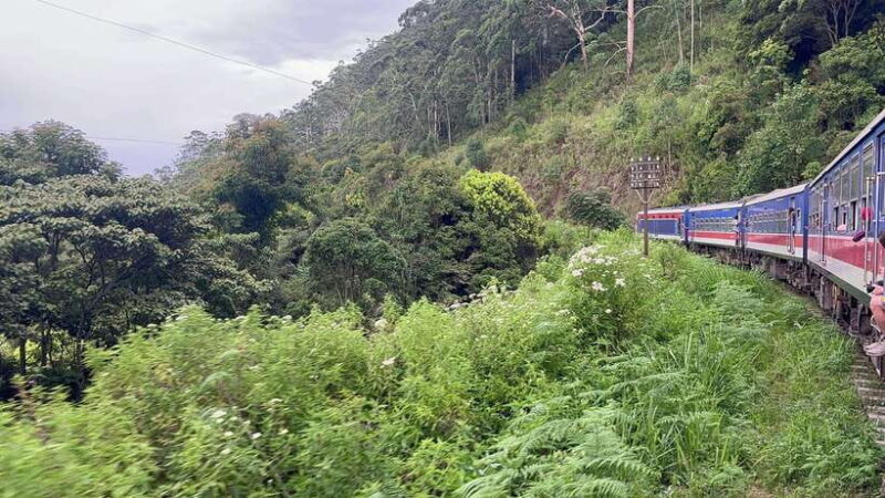 2-Day Ella Tour: Diyaluma Falls Horton Plains & Scenic Train - FAQs