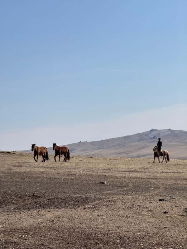 2-Day Elsen Tasarhai/Sand Dune hills & Nomadic Experience - Good To Know