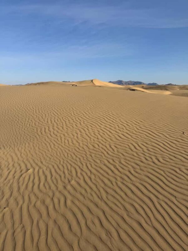 2-Day Elsen Tasarhai/Sand Dune hills & Nomadic Experience - Accommodation and Meals