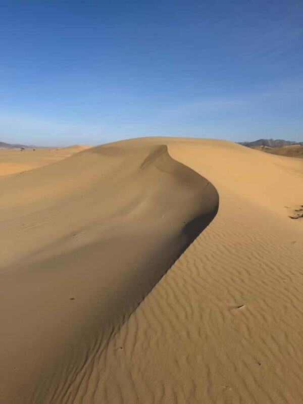 2-Day Elsen Tasarhai/Sand Dune hills & Nomadic Experience - The Sum Up