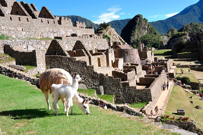 2 Day Excursion: Sacred Valley and Machu Picchu (Private Service) - The Sum Up