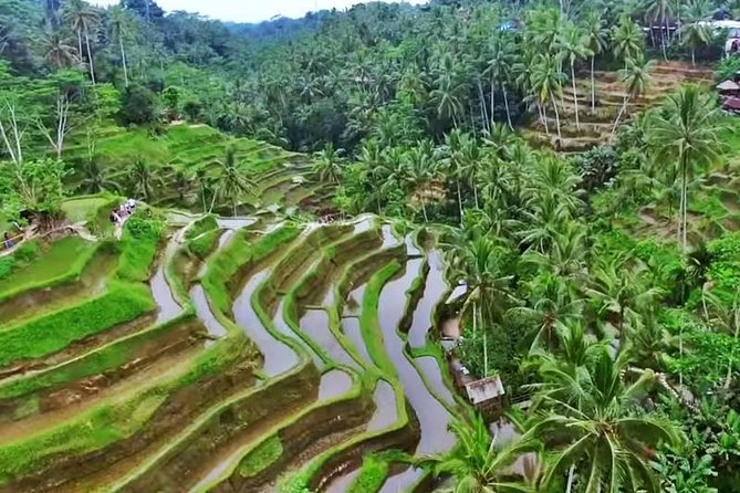 2-Day Experience Bali: Most Popular Tour - Inclusions and Amenities