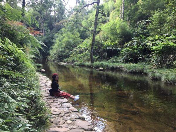 2-Day Fansipan Mountain Trek - Indochinas Highest Peak - Best Time to Trek