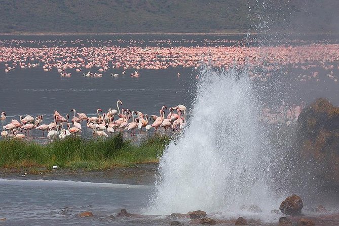 2-Day Flamingo Tour to Lakes Bogoria and Nakuru From Nairobi - Pickup and Transportation Details