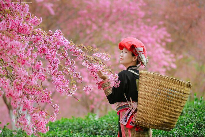 2-Day from Sapa: Majestic Valleys-True Homestay - Fansipan - Bike - Good To Know