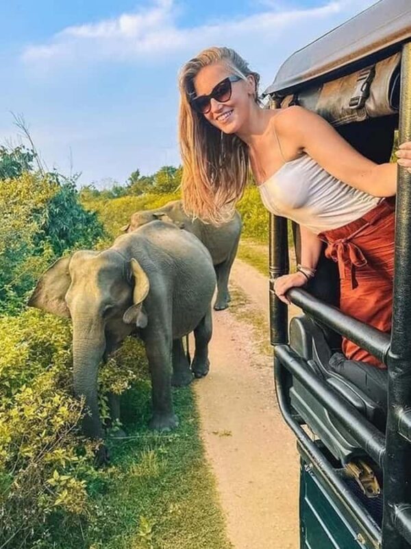 2-Day Galle to Sigiriya Tour with Minneriya Safari - Night in Sigiriya — Comfort and Rest