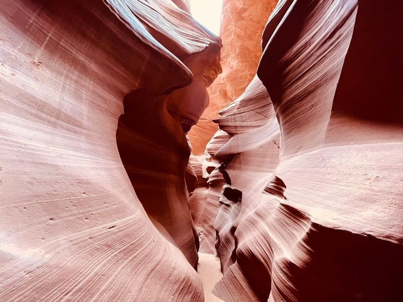2 Day Grand Canyon, Antelope Canyon, and Horseshoe Bend Tour - The real price: check the extras before you book