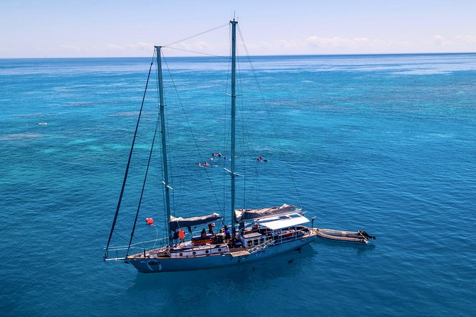 2-Day Great Barrier Reef Combo: Green Island Sailing and Outer Reef Snorkel Cruise - Exploring the Marine Life at Pinnacle Reef