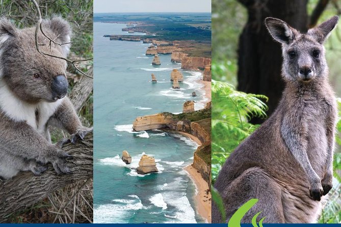 2 Day Great Ocean Road Tour From Melbourne - Cancellation Policy