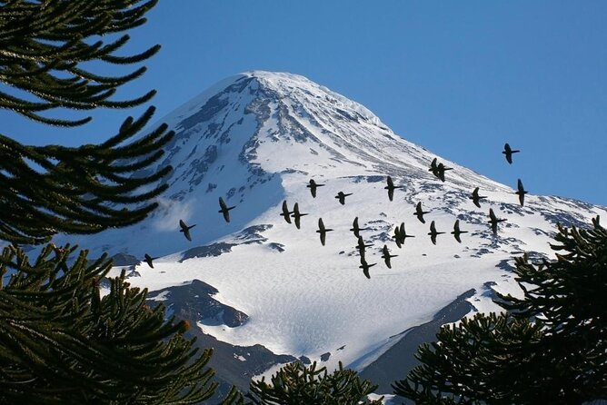 2-Day Guided Ascent to Lanin Volcano, From Pucón - Package Inclusions