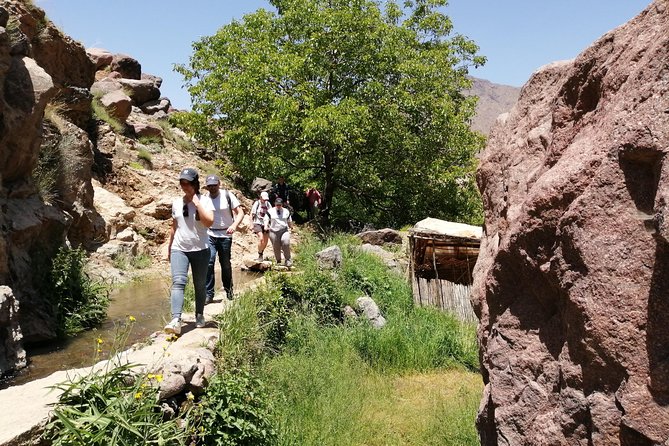 2-Day Guided Trek of the Atlas Mountains and Berber Villages - Booking and Availability