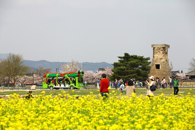 2-Day Gyeongju Rail Tour From Seoul - Tour Details