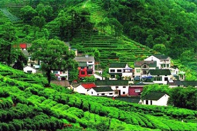2-Day Hangzhou and Wuzhen Watertown Private Tour From Shanghai - Cancellation Policy