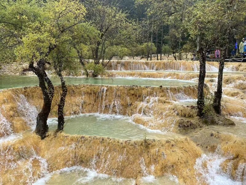 2-Day High-Speed Rail Tour to Jiuzhaigou and Huanglong from Chengdu, Sichuan - Small group or coach: choose the kind of independence you want