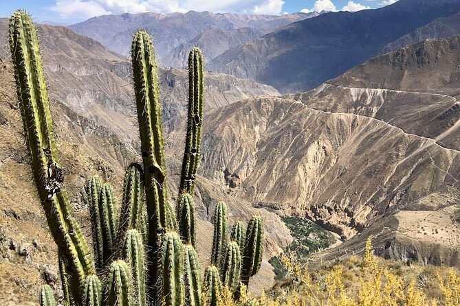 2-Day Hiking Tour to the Colca Canyon - The Sum Up