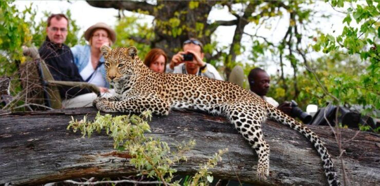2 Day Hluhluwe Imfolozi & Isimangaliso Tour From Durban - Good To Know