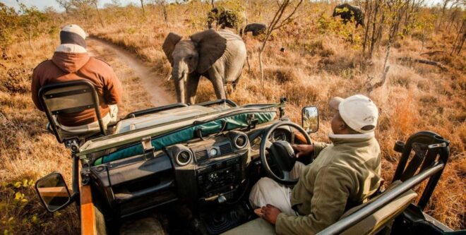 2 Day Hluhluwe Imfolozi & Isimangaliso Tour From Durban - Itinerary