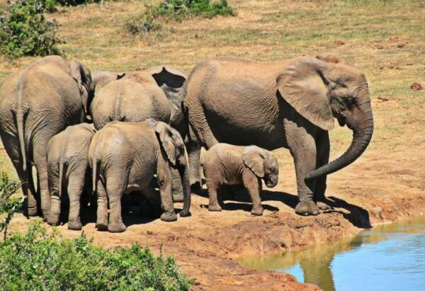 2 Day Hluhluwe Imfolozi & Isimangaliso Tour From Durban - Departure Details