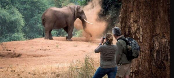 2 Day Hluhluwe Imfolozi & Isimangaliso Tour From Durban - Additional Information