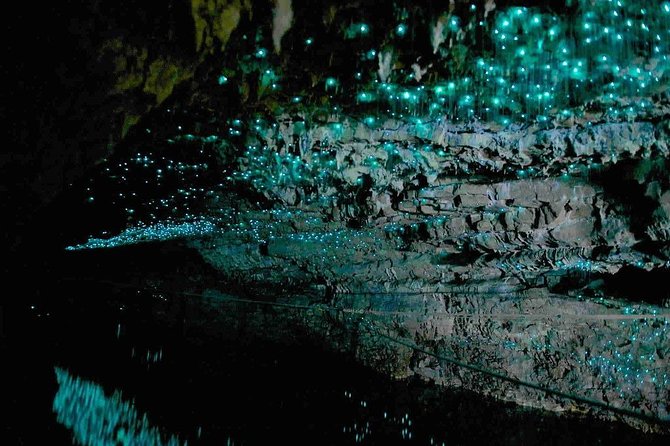 2 Day Hobbiton Movie Set, Waitomo Caves and Rotorua Private Tour From Auckland - Weather and Cancellation Policy