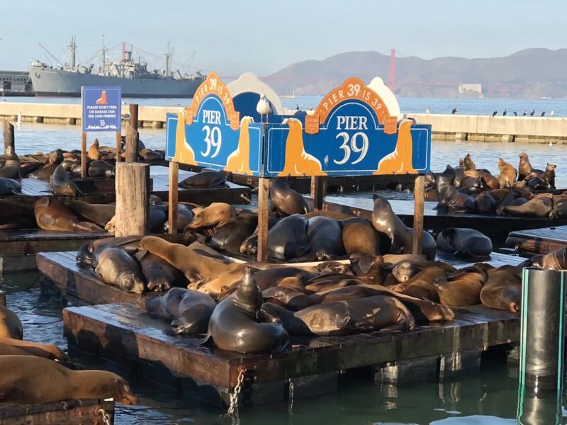 2-Day Hop-on Hop-off Bus Tour with Alcatraz Tour - Who should book this San Francisco package?