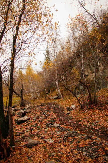2 Day Horse trekking in Terelj national park - What Is the 2-Day Horse Trekking Tour in Terelj National Park?