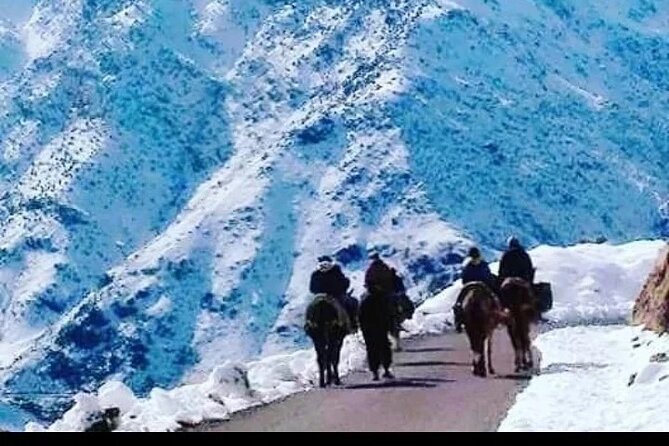 2-Day Jebel Toubkal Trek From Marrakech - Terms and Conditions