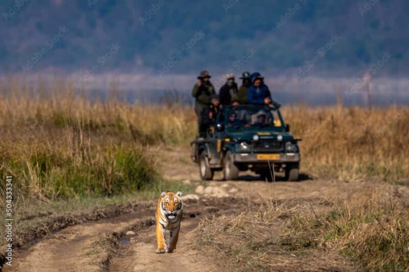 2 Day Jim Corbett National Park Tour from Delhi - Who Should Consider This Tour?
