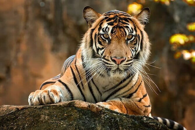 2-Day Jungle Safari with Sunrise view of Taj Mahal - Good To Know