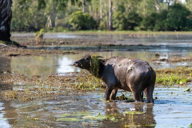 2 Day Kakadu Highlights Tour - Who Will Love This Tour?