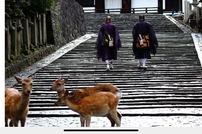 2-day Kansai world ExTour I tour around Osaka,Kyoto,Nara,andUji - Why This Tour Stands Out